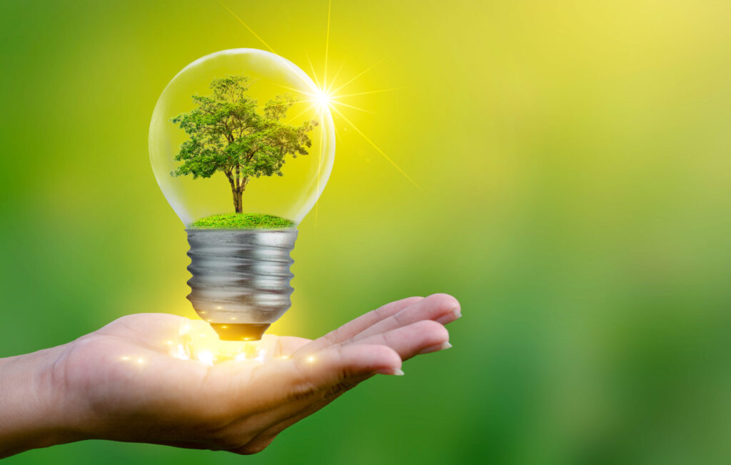Environmental Law