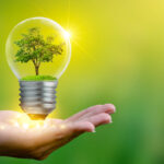 Environmental Law